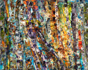 Algonquin Petawawa Fall Birch Tree Collage